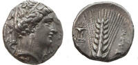 ar; stater 340-330BC.  Griekse munten Lukania Metapont choice, Exf 370,00 EUR + 18,00 EUR kargo