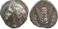stater M.Ö. 330-280.  Griekse munten Lukania Lucania Metapont hakkında, Exf.  550,00 EUR + 28,50 EUR kargo