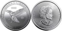 2020 Canada 1/2 oz Silver Coin (Birds of Prey Series) Red-Tailed Hawk -