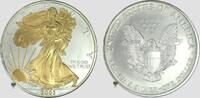 USA 1 Dollar Walking Liberty with Liberty and sun gilded -