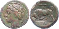 Bronz 275-216 - Chr Sicilia Stadt, Zeit des Hieron II.  275-216 v. Chr ... 165,00 EUR + 10,00 EUR kargo