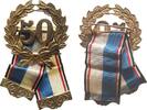 Sport Abzeichen Bronze vergoldet 50 Jahre Mitgliedschaft (?), ca. 50 MM -