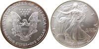 USA 1 Dollar 2004 Ag Walking Liberty, etwas Patina stgl 48.11 US$  +  25.12 US$ shipping