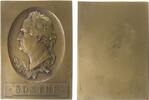 Goethe Plakette Bronze Goethe (1749-1832), Büste nach links, v. Mayer und Wilhelm, ca. 49,5 x 67,5 MM, einseitig -