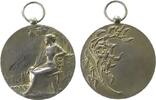 Frankreich tragbare Medaille Silber Mamers - 1911, sitzende weibliche Gestalt mit Palmwedel in Landschaft - daneben Gravur / Zweig und leeres Gravurfeld, ca. -