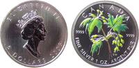 5 Dollar 2003 Kanada Ag Ahornblatt im Sommer (Tampondruck), ohne Etui, ohne Zertifikat stgl