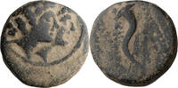 Ancient Greek AE 14 Phoenicia, Ptolemais-Ace. AE 14 -