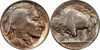 USA 5¢ 1928-D Buffalo Nickel, 1928-D, 5¢, MS65 , PCGS/CAC MS65 656.25 US$  +  15.00 US$ shipping
