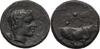  AE 420-405 BC Ancient Greek Sicily, Gela. AE   80,56 EUR  +  21,66 EUR shipping