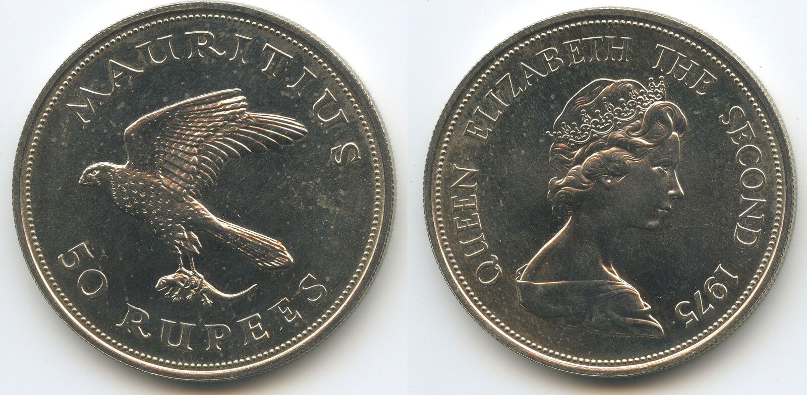 Mauritius 50 Rupees 1975 M 2043 Vogel Falke Kestrel Queen