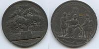 Medaille GX271 - Schleswig-Holstein Offener Brief von König Christian VIII. -