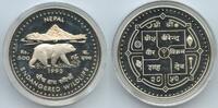 Nepal Shah Dynasty 500 Rupees Silber G0035 - Schwarzbär Himalayan Black Bear - Birendra Bir Bikram -