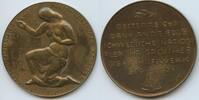 Große Bronzemedaille Dankmedaille 1919-1924 Österreich - Schweden GN1307 - Österreichisches Schwedendank Komitee Sehr schön +