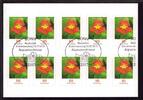 Bund Bund, Folienblatt 89 gestempelt ESST - 3482 - Kapuzinerkresse -