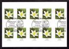 Bund Bund, Folienblatt 91 gestempelt ESST - 3484 - Buschwindröschen -