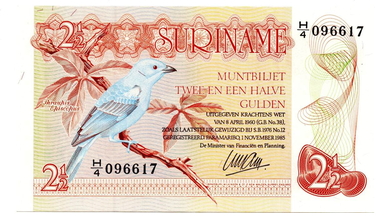 Surinam - Suriname 2.5 Gulden 1/11/1985 UNC | MA-Shops