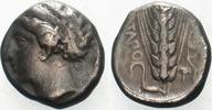 Didrachme (Stater) 5.-4 Jh.  v. Chr.  Lucania Sehr schön 395,00 EUR + 10,00 EUR kargo