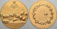 Tiere vergoldete Bronzemedaille HUNDE -
