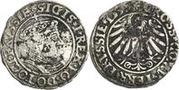 Polen Grosz Sigismund I. 1506-1548 -