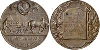 Hoyerswerda Bronzemedaille -
