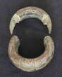 Southern-Burkina Faso lockable bracelet 19th century Gurma and Mossi people, VF