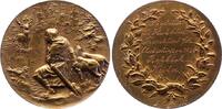 Frankfurt-Stadt Bronzemedaille -