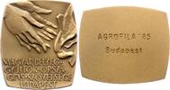Ungarn-Budapest, Stadt Bronzeplakette -
