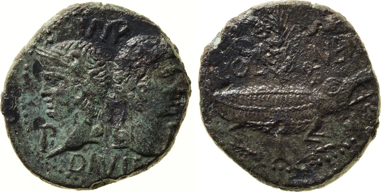 ANCIENT COINS - Dupondius AUGUSTUS, 27 v.- 14 n.Chr. VF ...