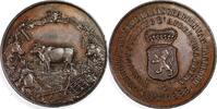 Nederland Medal Noord Brabantse maatschappij van landbouw tentoonstelling afd. Breda - Janssen -