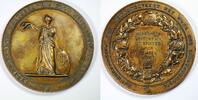 Netherlands Historical Medal Nederlandsche Maatschappij voor Nijverheid en Handel J.C Stoffer -