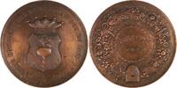 Belgium Medal Société Dárgriculture et de Botanique du pays de waas / St. Nicolaas -