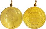 Netherlands Queen Wilhelmina – Gold Prize Medal, Concours Hippique - By P. Pander Medal 1907 EF