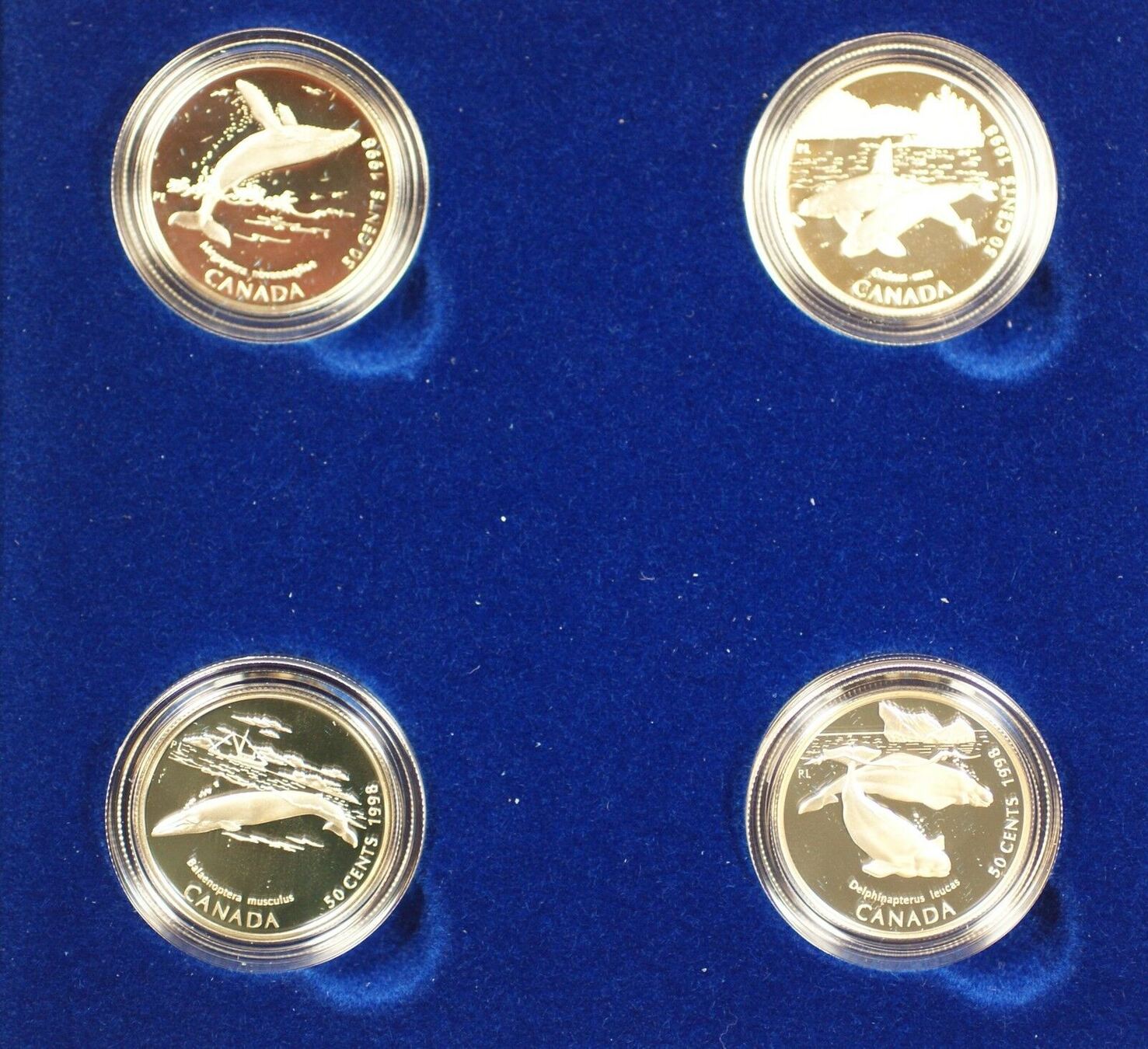 Kanada 50 Cent 1998 Canada Sterling Silver 4 Coin Set Ocean Giants