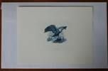 Briefmarken BEP souvenir card B 70 IPMS proof eagle on rock vignette blue -
