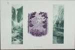 Briefmarken BEP 1993 B-166 Proof FUN Three National Parks Vignettes Intaglio Print -