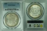 USA 1 Dollar Morgan Silver $ Coin PCGS MS 62+ (8) C -