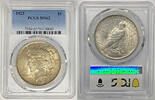 USA Dollar Peace Silver Coin Toned PCGS MS 62 (10) D -
