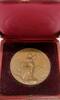 Exonumia Bronze Glarus Switzerland Shooting Festival Medal R808e in Case -