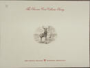 Briefmarken SCCS F1994B Pittsburgh Annual Card Elk in Park (Brown) Intaglio Print Vignette -