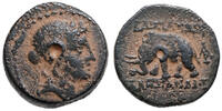 Alexander I. Balas (152-145 BCE) AE ELEFANT -