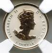 Bullion  2016 Canada Gilt $1 Maple Leaf 1/20 oz Silver NGC PF69 Reverse First Releas Q870