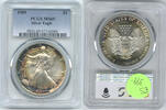 Anlagemünzen Dollar American Eagle 1 oz Silver PCGS MS69 Toning Toned - DN660 -