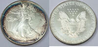 Anlagemünzen Dollar American Eagle 1 oz Fine Silver - Toning Toned Bullion Ounce - H138 -