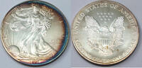 Anlagemünzen Dollar American Eagle 1 oz Fine Silver - Toning Toned Bullion Ounce - H136 -
