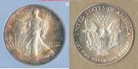 Anlagemünzen Toned American Silver Eagle 1oz 999 Silver - KR788 -