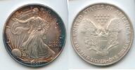 Anlagemünzen Dollar American Eagle 1 oz Silver - Toned Toning ounce Bullion Coin - SR136 -