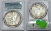 Anlagemünzen Dollar American Eagle 1 oz Silver PCGS MS67 Toning Toned - C484 -