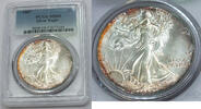 Anlagemünzen Dollar American Eagle 1 oz Silver PCGS MS68 Toning Toned - C487 -