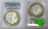 Anlagemünzen Dollar American Eagle 1 oz Silver PCGS MS68 Toning Toned - C490 -