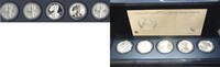 Anlagemünzen American Eagle 1 oz Silver 25th Anniversary 5-Coin Set U.S. Mint - C509 -